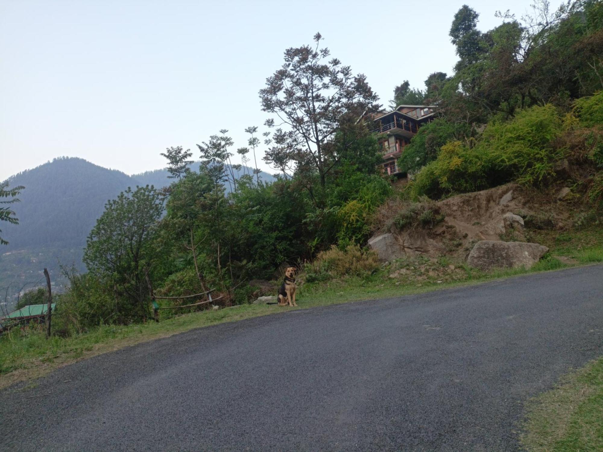 Tirthan Hilltop Home Stay Banjar Bagian luar foto