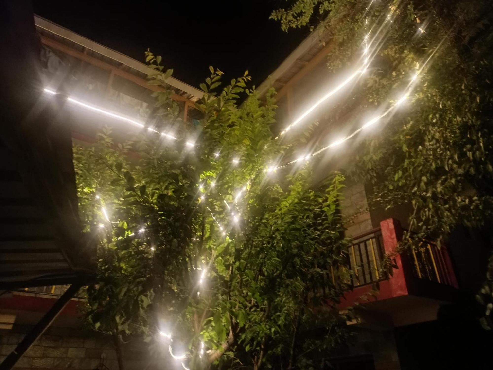 Tirthan Hilltop Home Stay Banjar Bagian luar foto